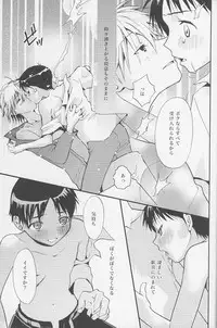 (C77) [RAYTREC (Fuyunagi Reku)] +PLUS (Neon Genesis Evangelion)