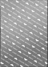 (Puniket 22) [Hitomaron (Setouchi Sumako)] Pantsu to Zubon no Kyoukaisen 2 (Strike Witches)