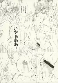 (C63) [Sasha Forest (Kawakami Takashi, Itou Nozomi)] Kachou Huugetsu (Final Fantasy VII)