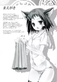 (C76) [Studio Rakkyou (Ashisyun, Takase Yuu)] Kanzen Nenshou 17 Kantengecchi (Saki)