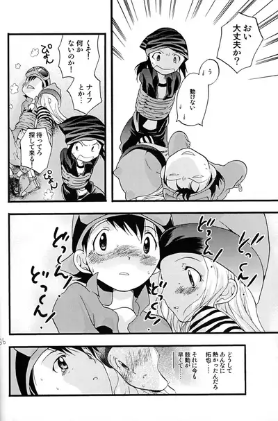 (C62) [Tomato Surprise (Futtsu Misaki)] Your Eyes Only (Digimon Frontier)