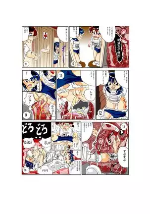 The Vicious Liquid Lady's Room