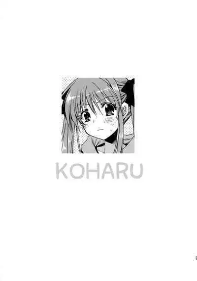 (COMIC1☆12) [Ryuu no Kinyoubi (Ryuga Syo)] Onii-chan o Suki nano wa Watashi dake nandakara ne