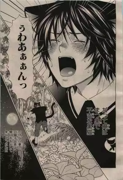 BE・BOY GOLD 2009-04