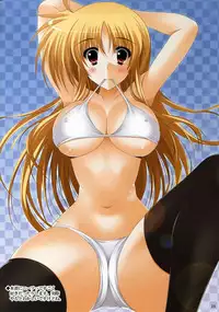 (C80) [HATENA-BOX (Oda Kenichi)] MEGAMI (Mahou Shoujo Lyrical Nanoha)