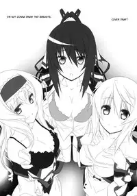 (C80) [Himura Nyuugyou (Himura Kiseki)] Yuuzai Shouko Bukken Sangou | The Evidence of the Guilt - Mark Three (IS <Infinite Stratos>) [English] {doujin-moe.us}