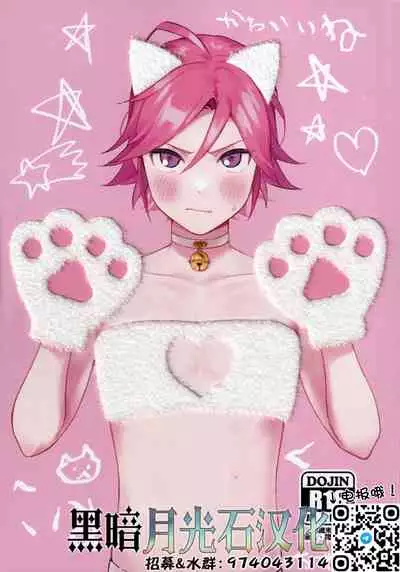 Kawaii Neko Haku-chan