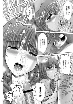 Chijyo Erect! Mune ni 1-ppatsu Okuchi ni 2-hatsu, Shiri to Asoko ni Kei 5-hatsu