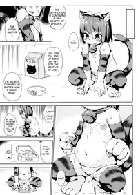 (C92) [Nanamehan (Hansharu)] Neko Ochi Shine Fairies | The Cat Fall of the Shine Fairies [English] [Jormangander]