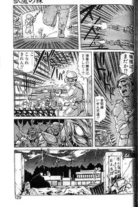 [Kamitou Masaki] Seirei Tokusou Fairy Saber [Tennyo Matouhen]