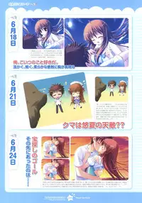 Tsunagaru Bangle - Visual Fan Book