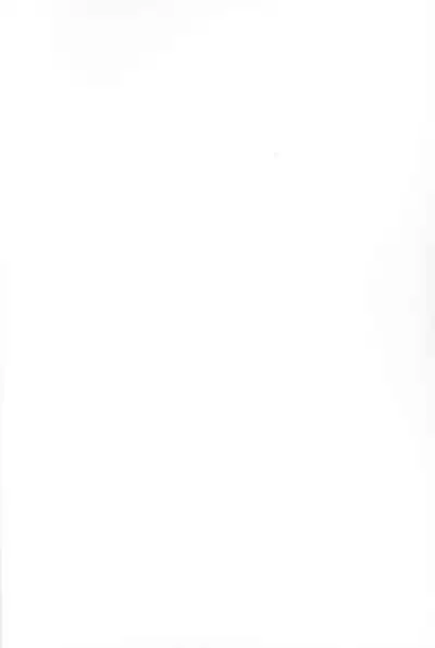 Mugen-sama, Dou ka Otawamure o