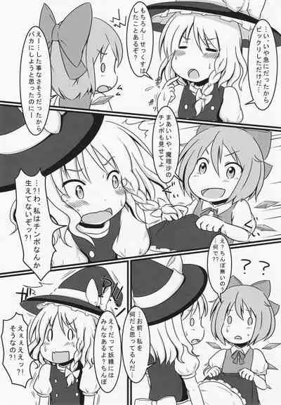 Futanari Cirno ga Mikeiken na Marisa to Suru Hon