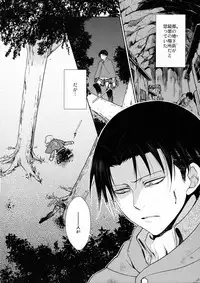 (C90) [RIX (Mamiya)] Ten ni Habataita Sono Ato mo (Shingeki no Kyojin)