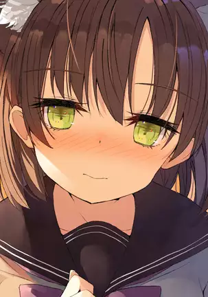 Ore no Kanojo ni wa Nekomimi ga Haeteiru