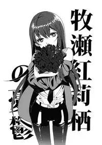 (CHAOS;GATE) [World Temperament / Sekai Heikinritsu (udk)] Wish a upon star (Steins;Gate)