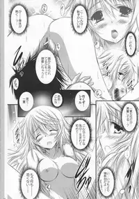 (C82) [SONIC WINTER (Tsukishima Kai)] Futari no Natsu Monogatari. Our Summer Memory (Infinite Stratos)