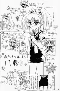 (CR20) [Sanketsushuu (Sanzui)] bakatte itte rurichan (Martian Successor Nadesico)