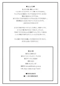 (C74) [INSERT (KEN)] Gentei Bon (Zero no Tsukaima)