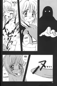 (C59) [Chokudoukan (Hormone Koijirou, Marcy Dog)] Please Teach Me 4 (Cardcaptor Sakura) [English] [Rizel]