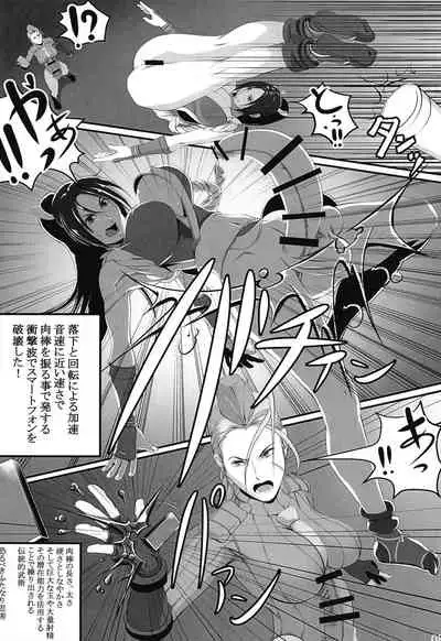 [Shiranui Research Institute (Shiranui)] Shiranuhi Ninpo cho ichi-kan (King of Fighters, Street Fighter) [Digital]