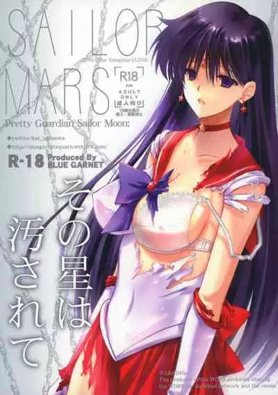 (C100) [Blue Garnet (Serizawa Katsumi)] Sono Hoshi Ha Yogosarete (Bishoujo Senshi Sailor Moon)