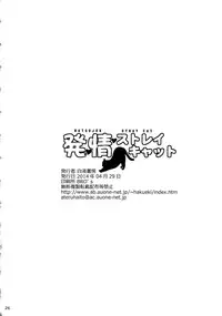 (COMIC1☆8) [Hakueki Shobou (A-teru Haito)] Hatsujou Stray Cat (Witch Craft Works)