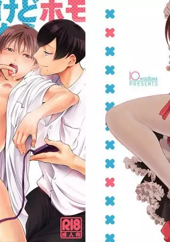 Nonkedakedo Homo ni Semara Retara Bitchi ni Narazaru o Enakatta!