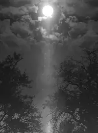 [Shinenkan (Shizuki Shuya, Toki)] Mannequin-ka II [Digital]