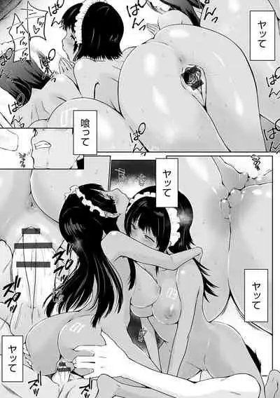 Houshi Shuzoku ga Yattekita!