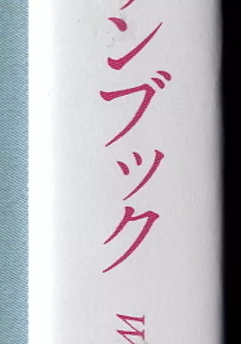 Walkure Romanze Visual Fanbook