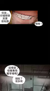 捕猎母猪 [中国翻訳]