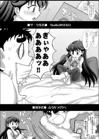 [Studio30NEKO (Fukunotsukuribe)] Mromantik IX [Digital]