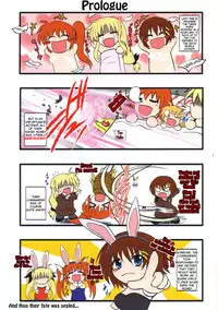 [Shouchuu MAC (Hozumi Kenji)] USAGI (Mahou Shoujo Lyrical Nanoha) [English] [Tigoris Translates]