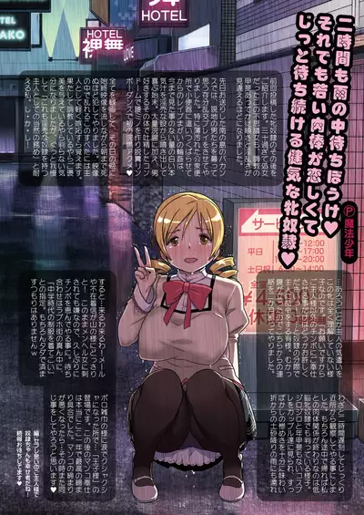 [GADGET (A-10)] Kongan Tanetsuke Koushuu Benjo (Puella Magi Madoka Magica)