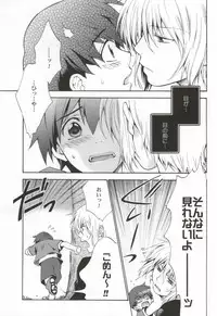 (C71) [CACHE-CACHE (Nanjou Papiko)] Ameiro Nemesis (Brave Story)