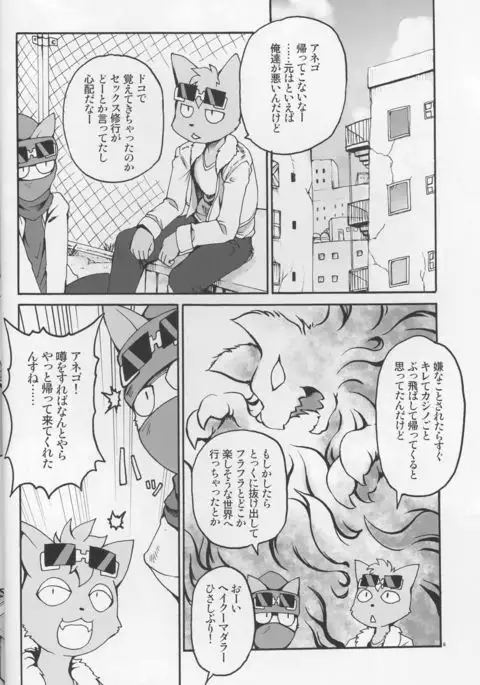 Nekoneko Fight 3sarame