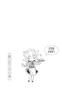 (Gensoukyou Summit 2) [Shigure Ebi (Various)] Kore wa Erohon desuka? Hai, Onnanoko Jouics Hon (Touhou Project)