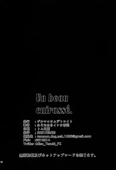 Un beau cuirassé | A Beautiful Battleship