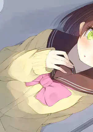 Ore no Kanojo ni wa Nekomimi ga Haeteiru