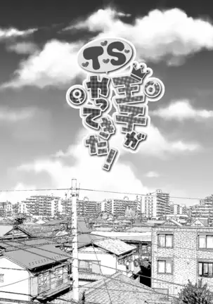 TS Ouji ga Yattekita!