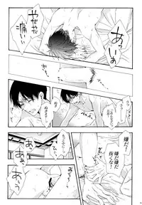 (C87) [Issou g (Ichinashi Kimi)] Himawari no Saku Fuyu (Shingeki no Kyojin)