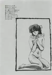 (C35) [Secret Society M (Kitahara Aki)] ANICE - Toki no Hanataba (Sonic Soldier Borgman)