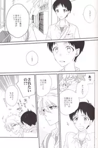 (C84) [Pink Elephant (Kotori)] circle cycle circurate (Neon Genesis Evangelion)