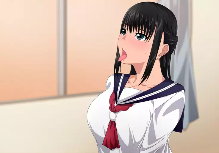 Seitokaichou no Fuuki Ihan