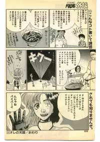 COMIC Papipo Gaiden 1995-05