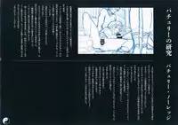 (C86) [Chroma of Wall (saitom)] Gensoukyou Inkou Kirokushuu (Touhou Project)