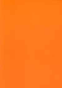 (On The Stage) [Vagina Dentata (Hirota Masatane)] Docchi mo Yome ni Hoshii (PriPara)