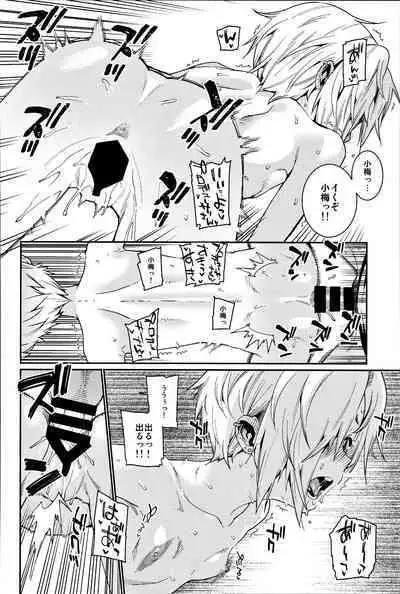 Shirasaka Koume to no Kankei Soushuuhen