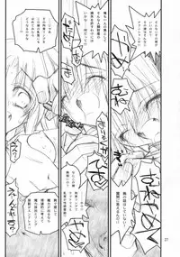 (C73) [Akai Marlboro (Aka Marl)] Fate-san Mae kara Ushiro kara (Mahou Shoujo Lyrical Nanoha)